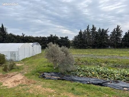 ferme maraichère aux portes de nîmes