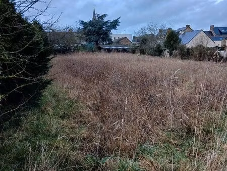 terrain constructible