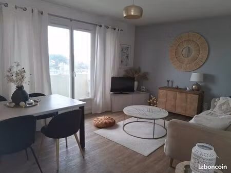 appartement lumineux t2 - 50m²