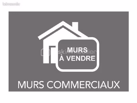 immeuble 8 pièces 300 m²