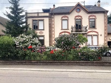 immeuble 11 pièces 254 m²