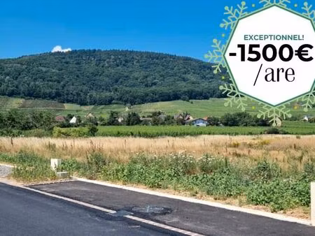 terrain 549 m² bergholtz