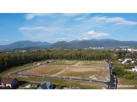 forêt 504 m² issenheim