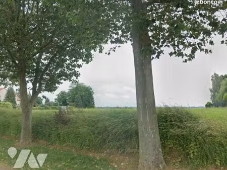 terrain 1593 m² awoingt