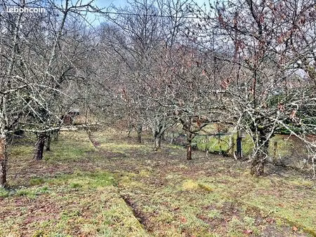 terrain 1271 m² steinbach