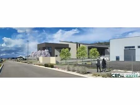 local d'activité 749 m²