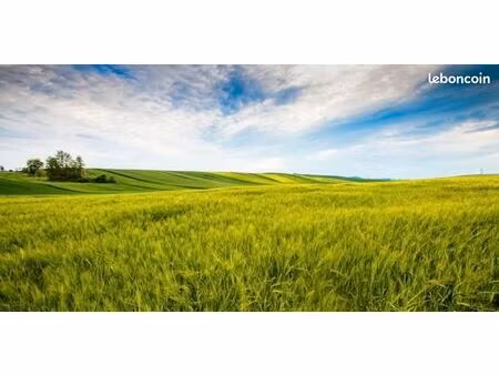 recherche pré/champs à louer