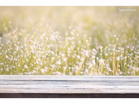 terrain 815 m² mazerolles