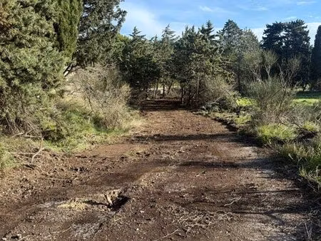 terrain 2000 m2 le thor