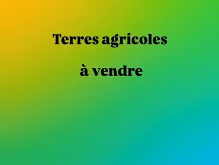 opportunité foncière 1 hectare de vignes st estève blauvac