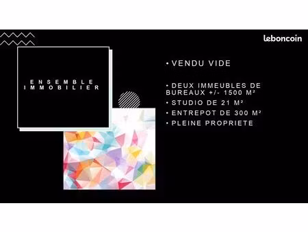 ensemble immobilier de bureaux de standing avec studio et entreprot en pleine propriete
