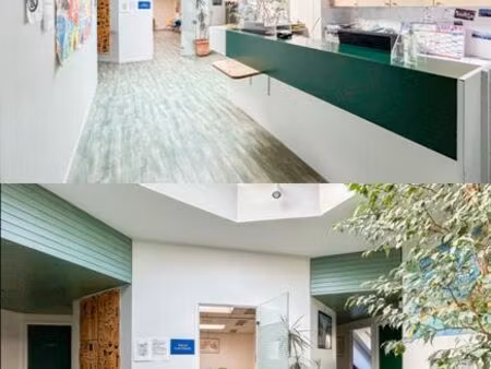 à louer – plateau professionnel 240 m² – cabinet médical / activité libérale