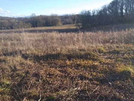 vend terrain à bâtir 3010 m2 à auzas ( 31 )  en cours de viabilisation  exposition plein s