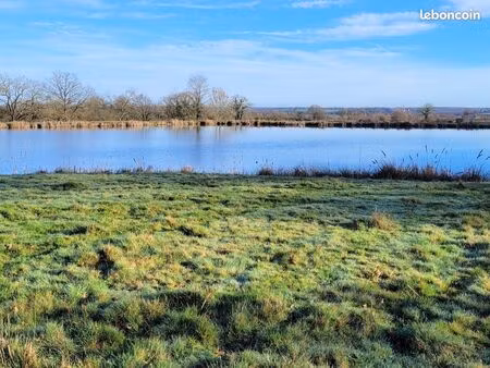 terrain 24834 m² torfou