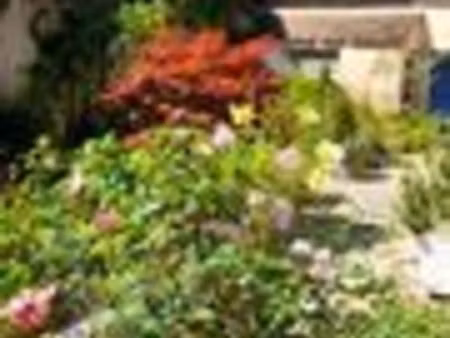 ◊? propriete ville haute◊?