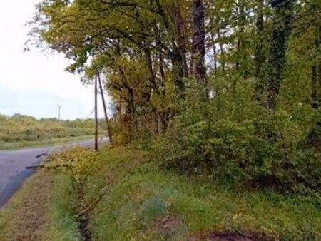 prairie et taillis à vendre