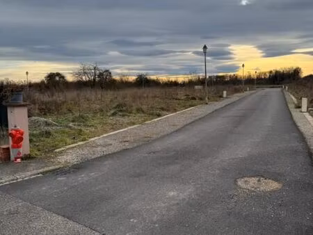 terrain 261 m² drusenheim