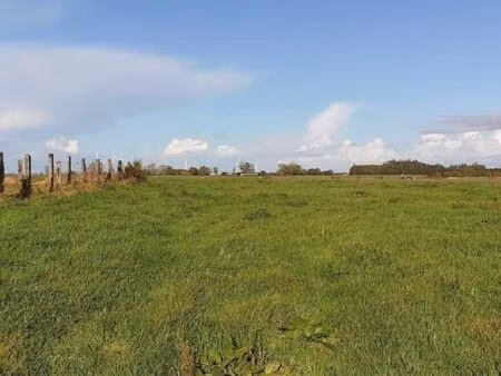 terrain 1 262 m² neufchatel en bray