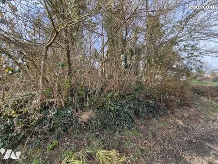 terrain 468 m² st pierre les nemours