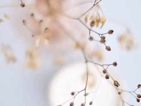 terrain constructible proche centre ploemeur