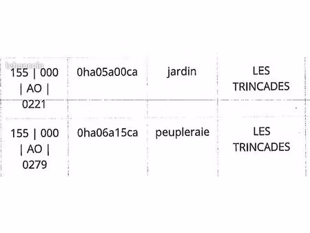 deux parcelles de terrain 1150 m2 en bord immediate du lot larnagol 46160