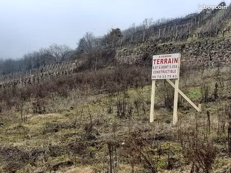 terrain libre de construction