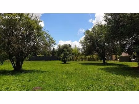 terrain constructible 1156 m2 à vendre