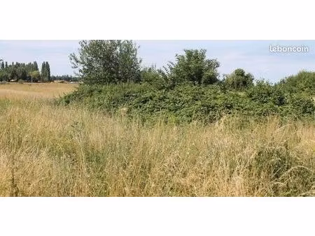 recherche prairie ou friche agricole