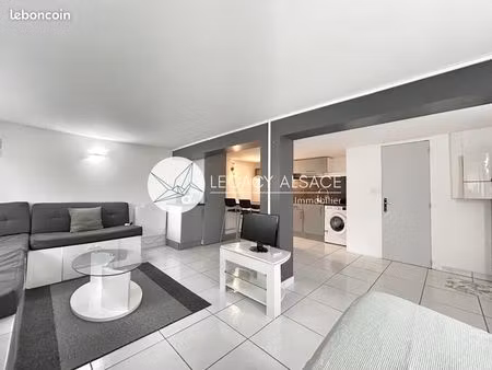 studio 1 pièce 31 m²