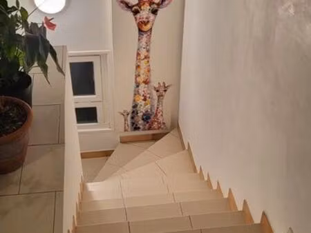 loue t2 plein centre-ville de louviers