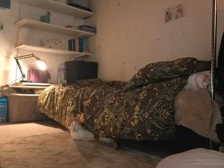 ◊chambre de bonne ❤️‍◊ moulin rouge ❤️‍◊