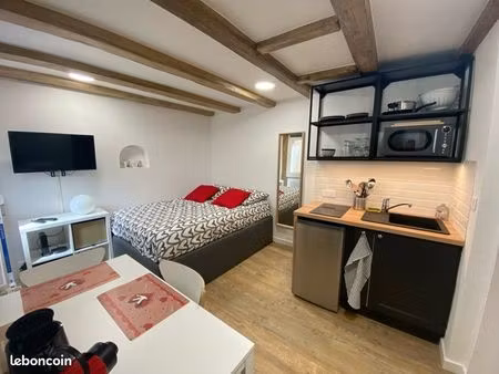 1 pièce 15 m2 strasbourg 67000 quartier finkwiller-petite france