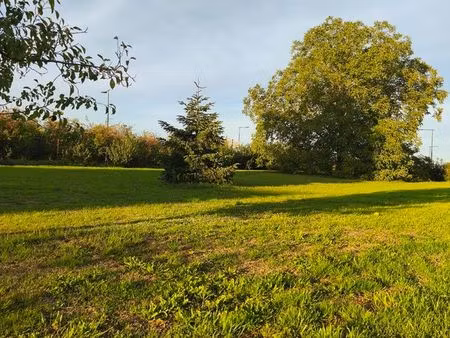 terrain constructible 5 ares