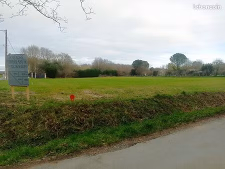 terrain constructible