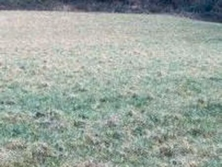 terrain agricole ou de loisir