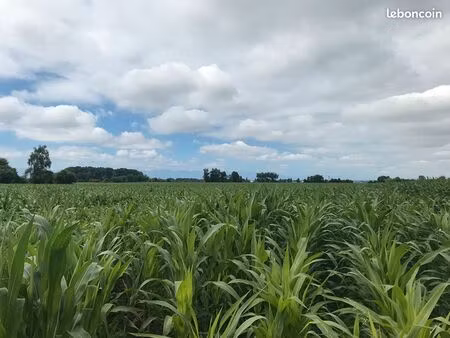 terrain 11249 m² sauvagnon