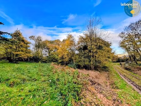 terrain 9420 m² guer