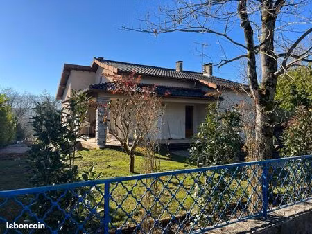 maison individuelle rénovée avec jardin