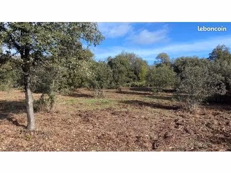 terrain 1 397 m² puget