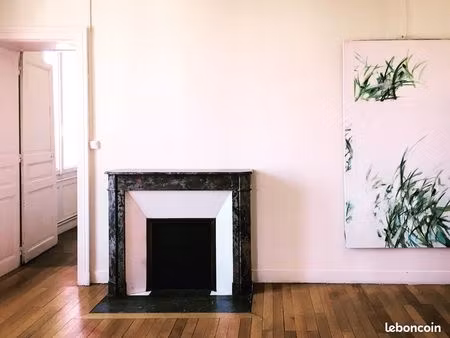 appartement lumineux 100 m2 au coeur du centre ville