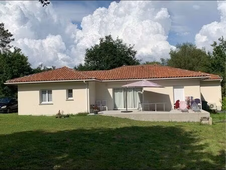 rare à saisir sur sanguinet