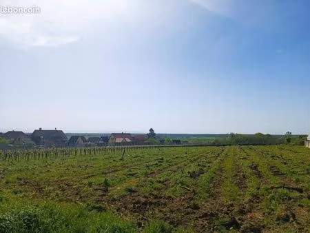 terrain 475 m² epfig