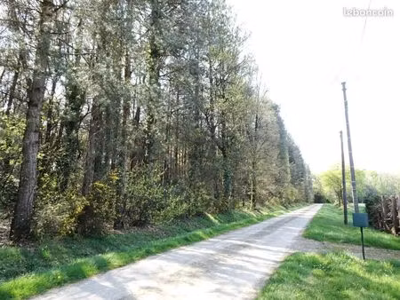 terrain 7300 m² reminiac
