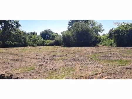 terrain 1 000 m² lugos