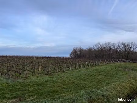 terrain 550 m² montussan