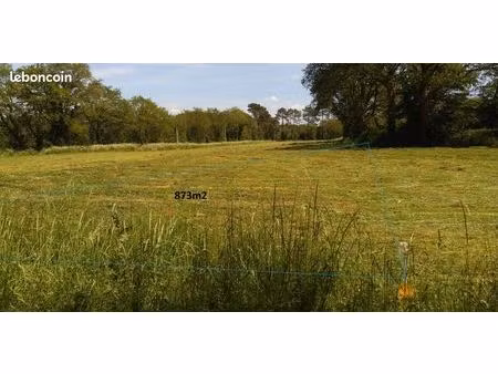 a vendre terrain agricole 873m2 camoel sud morbihan 3 2euros/m2