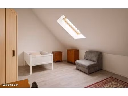 spécial investisseurs 2 appart briey