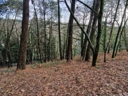 terrain 5727 m² plumelec