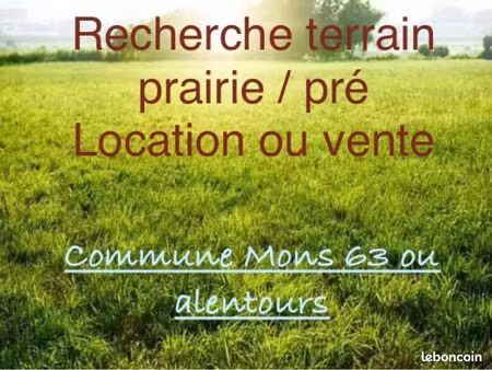 recherche terrain achat ou location