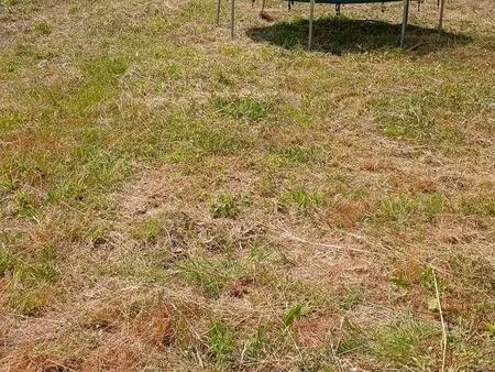 terrain constructible